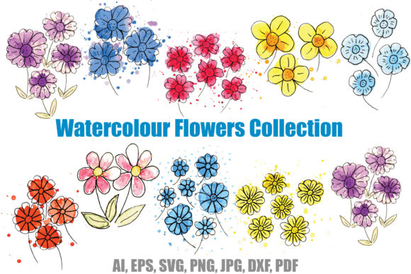 16 Watercolour Wildflower Flower Designs Illustrations