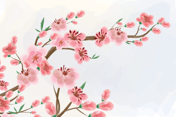 About Watercolor Cherry Blossom Clipart and Illustrations