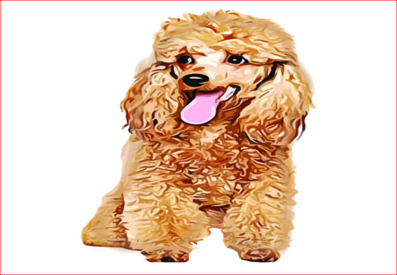 Blond Poodle Watercolor Png: Premium Illustrations