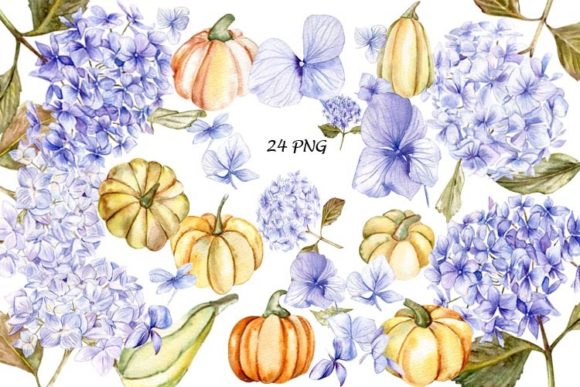 Blue Hydrangea with Pumpkins Watercolor Illustrations