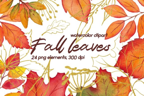 Fall Watercolor and Gold Leaves Clipart and Illustrations