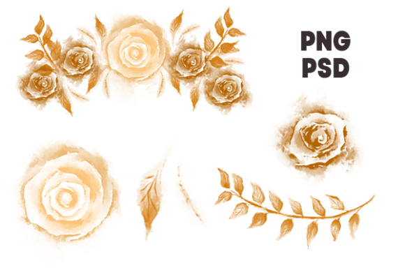 Fall Watercolor Flowers and Leaves Illustrations