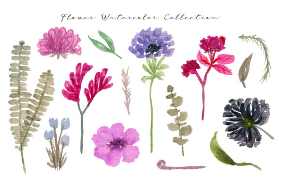 Flower Watercolor Collection