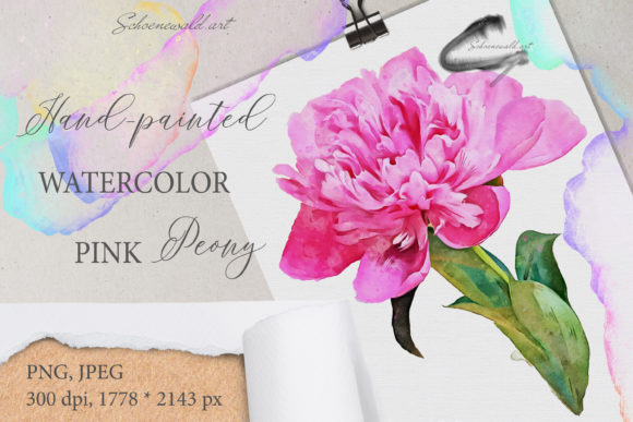 Hand-Painted Watercolor Pink Peony Illustrations