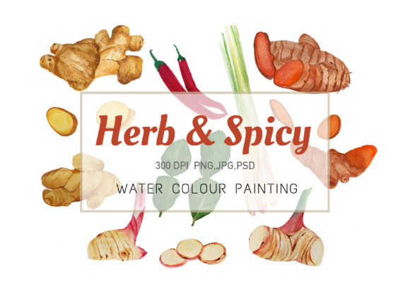 Herb and Spicy Clipart Watercolor Png Illustrations