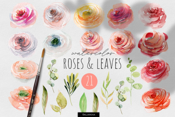 Roses and Leaves Watercolor Clipart and Illustrations