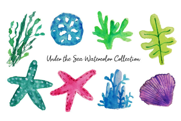Under the Sea Watercolor Illustrations