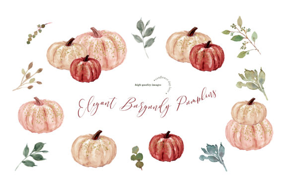 Watercolor Burgundy Pumpkin Illustrations