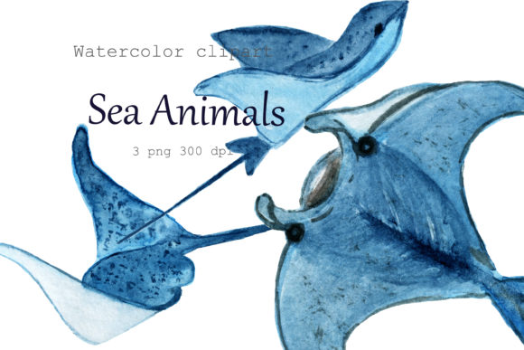 Watercolor Clipart Sea Animals. Illustrations