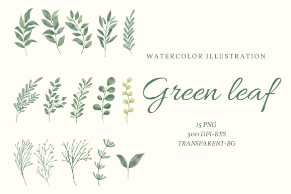 Watercolor Green Leaf Clipart for Illustrations