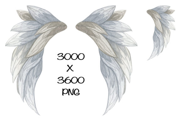 Watercolor Grey Angel Wings Illustrations