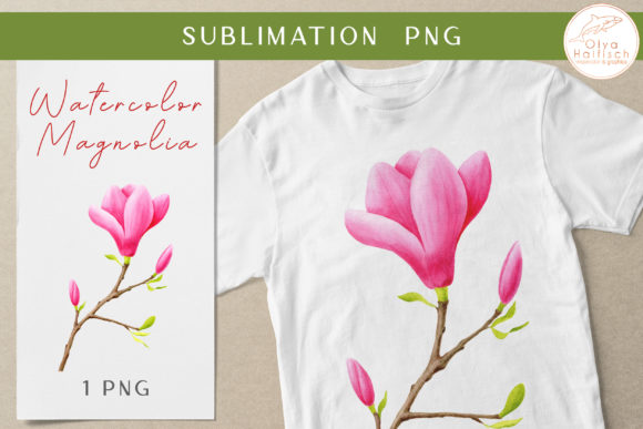 Watercolor Pink Magnolia Flower PNG for Illustrations