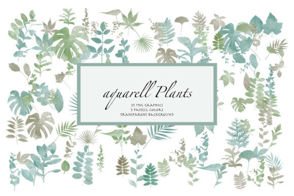 Watercolor Plants, Transparent Illustrations