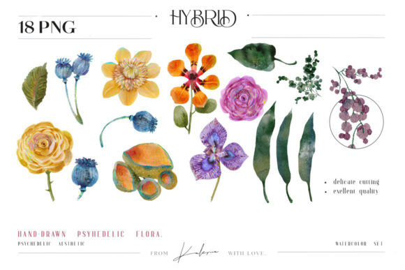 Watercolor Psychedelic Floral Collection and Illustrations