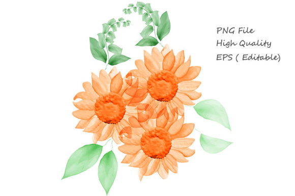 Watercolor Sunflower Floral, Illustrations